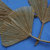 Origami Ginkoblatt