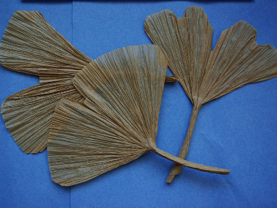 Origami Ginkoblatt