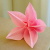 Origami Carambola
