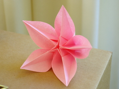 Origami Carambola