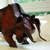Origami Stier