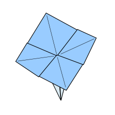 Hortensie Schritt 8