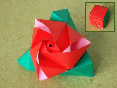 Origami Magic Rose Cube aus sechs Modulen