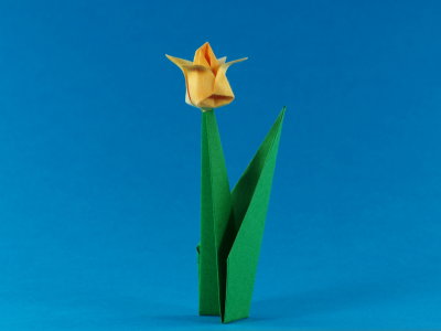 Origami Tulpe aus Washi – traditionell