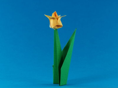 Origami Tulpe - traditionell