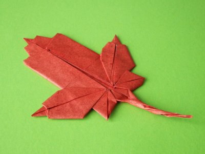 Origami Ahornblatt aus Elefantenhaut