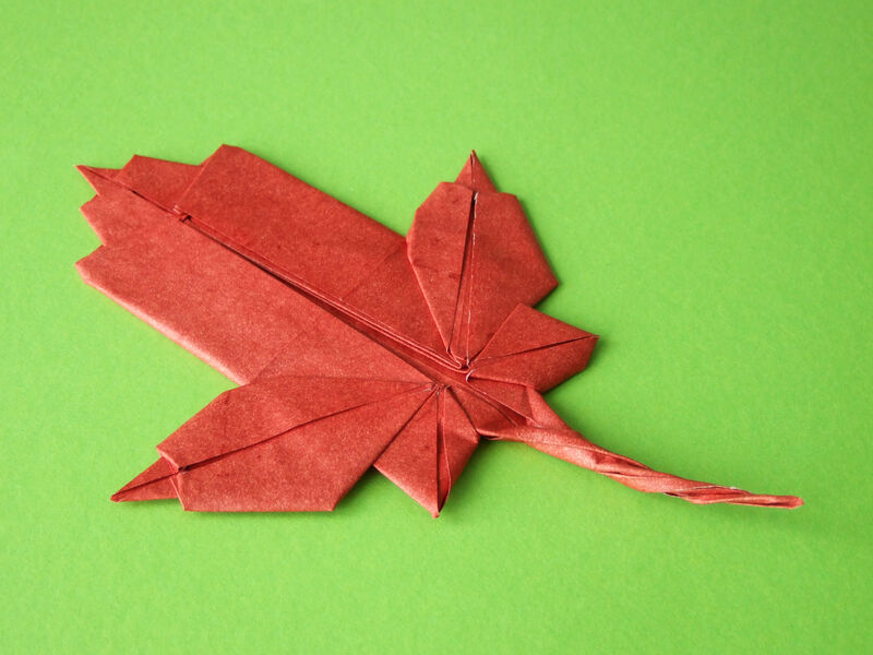 Origami Ahornblatt aus Elefantenhaut