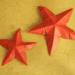 Origami Seesterne aus Elefantenhaut