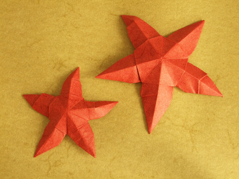 Origami Seesterne aus Elefantenhaut