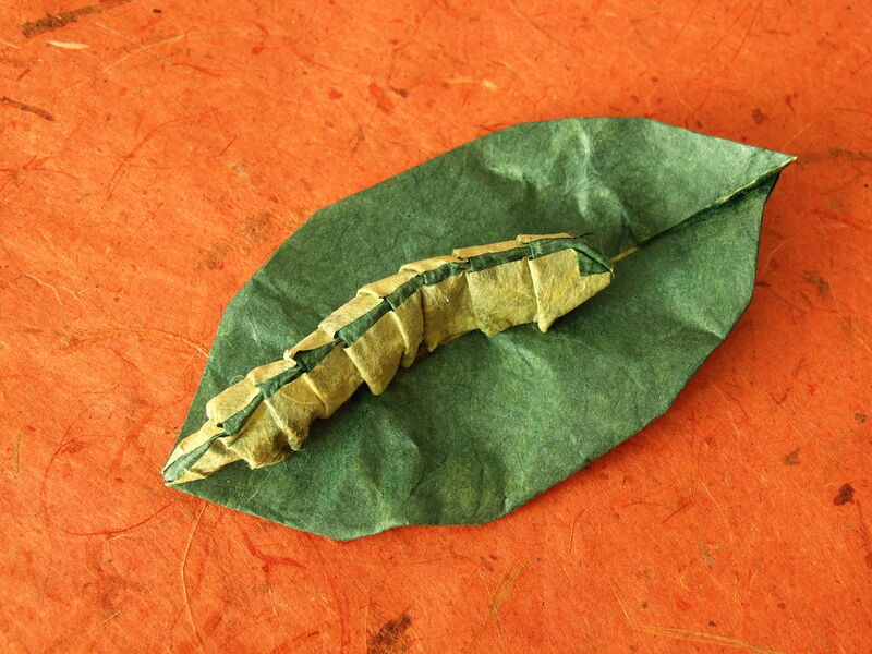 Origami Raupe auf einem Blatt aus Seidenpapier