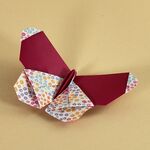 Origami Schmetterling (Stefan Delecat)