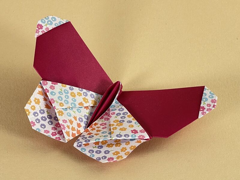 Origami Schmetterling aus Duocolor-Papier