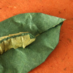 Raupe auf einem Blatt Origami Raupe auf einem Blatt