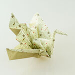 Origami Kotobukizuru
