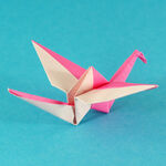 Origami Zweifarbiger Kranich